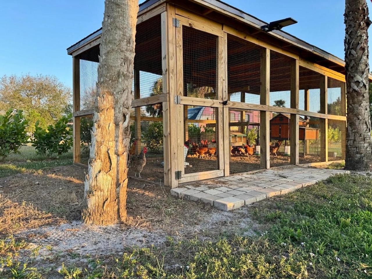 Naples Charming Cottage Orangetree 외부 사진